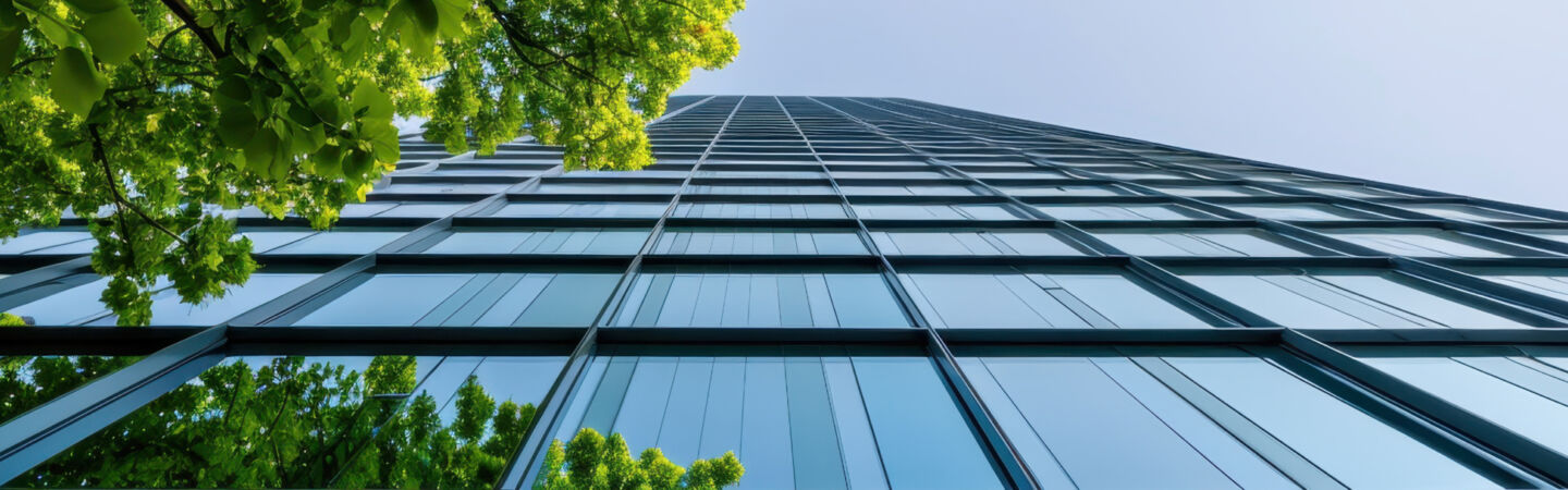 Australias evolving ESG regulatory landscape managing the legal risks Desktop
