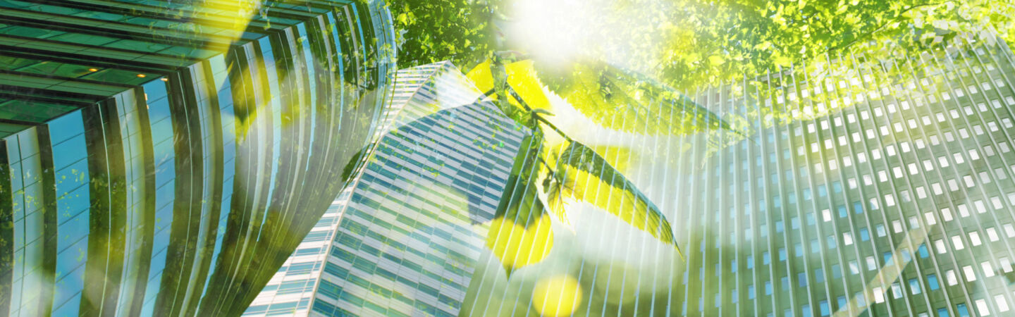 Article ESG regulatory trends: in-house counsel front and centre as ESG regulation proliferates
