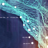 Article Whats in a name The changing landscape of Australian domain names