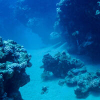 Deep sea mining Considerations for critical minerals investors Desktop