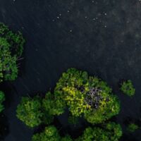 Takeaways from the Global Nature Positive Summit Desktop