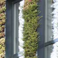 Article environment nsw draft greener places design guide now published