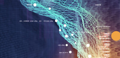 Article Whats in a name The changing landscape of Australian domain names