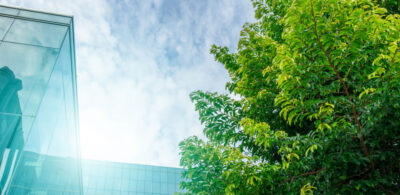 Article Mandatory climate related financial disclosures Web
