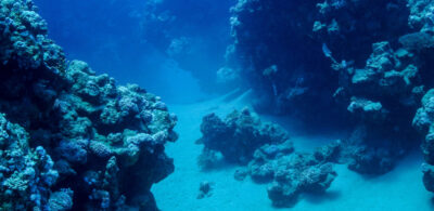 Deep sea mining Considerations for critical minerals investors Desktop