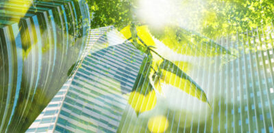 Article ESG regulatory trends: in-house counsel front and centre as ESG regulation proliferates