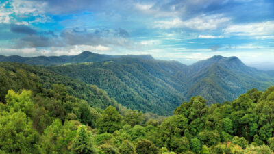 Article Biodiversity in 2023 and beyond what should Australian businesses expect