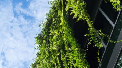 Article Sustainable development Australias outlook in 2025