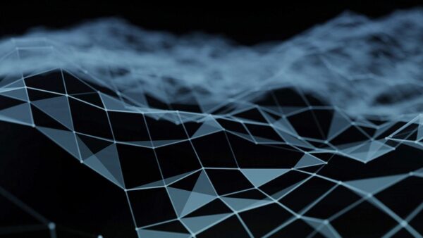 6 article at the forefront Financial investor liability for portfolio company actions a shifting landscape